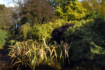 Plants aren't always green