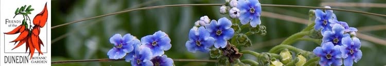 Friends of the Dunedin Botanic Garden