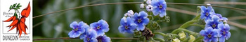 Friends of the Dunedin Botanic Garden
