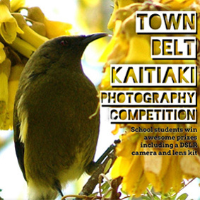 Photo Competition