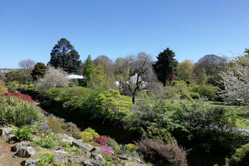 Friend of the Botanic Garden AGM 2025