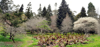 Curator Tour - Geographic Borders and Arboretum